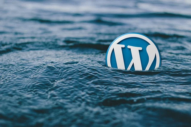 Digital Marketing Services WordPress